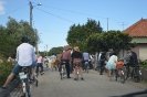 Passeio Pasteleiras_114