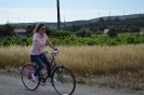 Passeio Pasteleiras_134