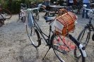 Passeio Pasteleiras_219