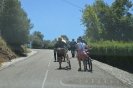 Passeio Pasteleiras_401