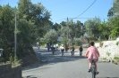 Passeio Pasteleiras_52