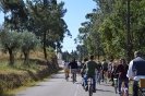 Passeio Pasteleiras_58