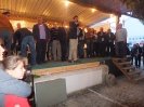 Tasquinhas_23